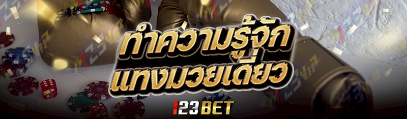 ทำความรู้จัก แทงมวยเดี่ยว